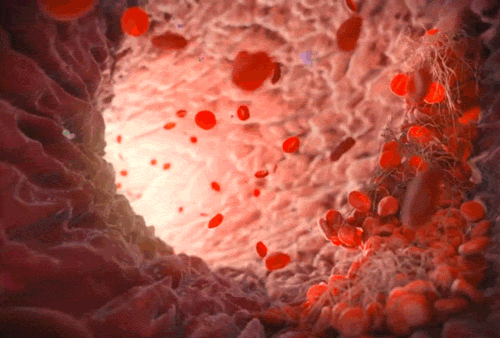 2976243acece022bbb93e6cd8048205a.gif