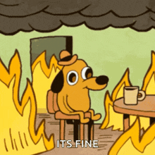 this-is-fine.gif