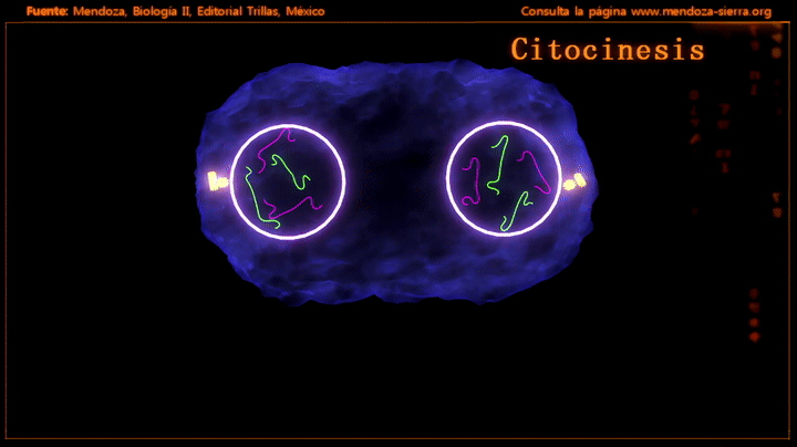 kvPDNQ.gif