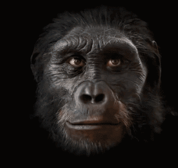 21f710c4b132ef38f7853b952a5cd36c.gif