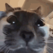 ea34fb8540b7d5e88708d1be90ea87bf.gif