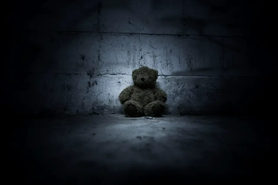 Teddy bear dark scaled.webp