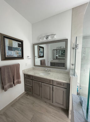 bathroommirrorsnakeskinsilver.jpg