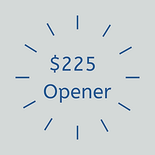 $250 OPENER (5).png