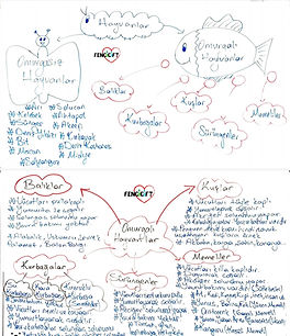 Hayvanlar-fen-ders-notlari-1