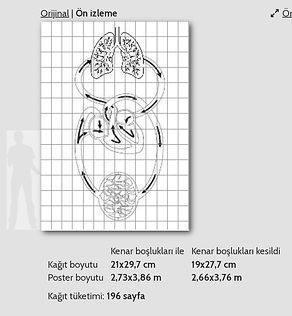Dolasim-sistemi-modeli-dev-boy-boyamali
