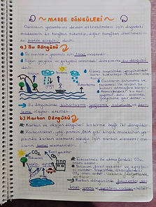 Madde-donguleri-ders-notu-2