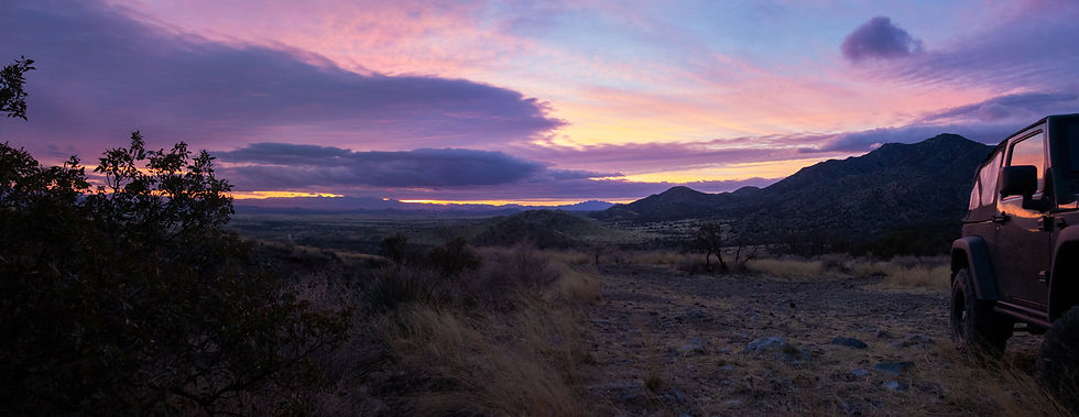 untitled (38 of 130).jpg