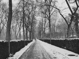 In search of winter lights: A love letter by Sneha Raman