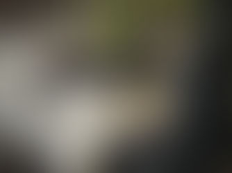 Please Write This On My Epitaph by Vasvi Kejriwal