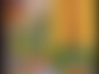 5 poems by Aditi Rao