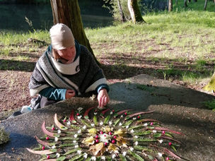 Artist of the Month: Lucia Pec