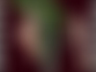 Digital collages by Ayushi Chaurasia