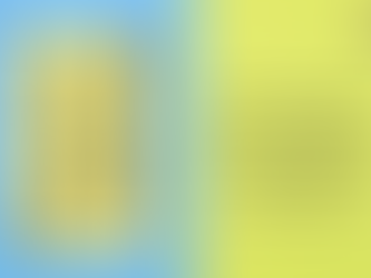 Harper Collins India x The Alipore Post: Vijay Seshadri