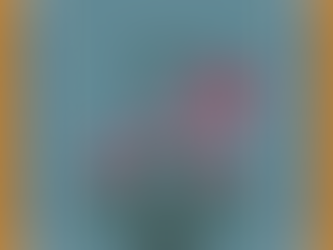 Surya Sharma's Digital Pietra Dura