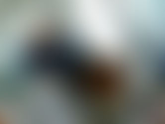 CENTELLAS REPORTAN PARA INICIO DE PRETEMPORADA.