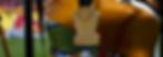 ree