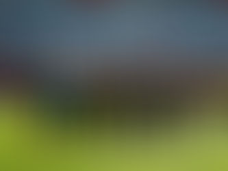 LOS RAYOS DEL NECAXA RESCATAN UN PUNTO DE LA DIFICIL ADUANA TOLUQUEÑA.