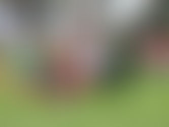 NADA PARA NADIE ENTRE NECAXA Y SANTOS EN FUERZAS BÁSICAS