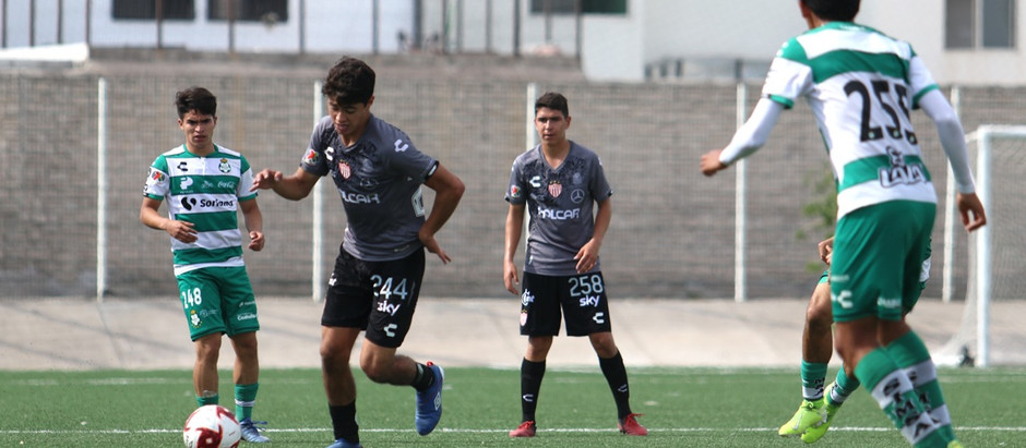FUERZAS BÁSICAS: LA SUB17 DE NECAXA EMPATO A DOS GOLES Y LA SUB20 PERDIO TRES POR CERO.