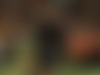 TIGRES DERROTA AL NECAXA 5-2.