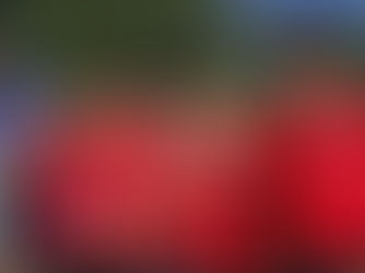 CLUB NECAXA DA INICIO CON SU CURSO DE VERANO 2022.