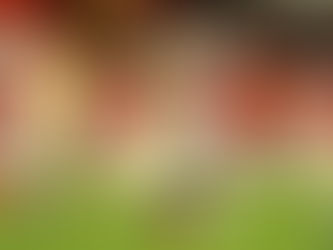 EL NUEVO HÉCTOR HERRERA QUE SE CUECE EN NECAXA Y QUE SALVÓ SU VIDA DE MILAGRO