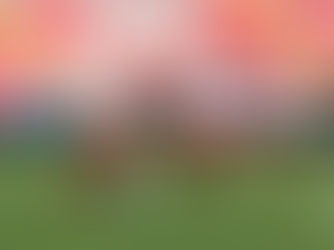 NUEVA DERROTA DE LAS CENTELLAS. AHORA CAEN POR LA MINIMA ANTE QUERETARO.