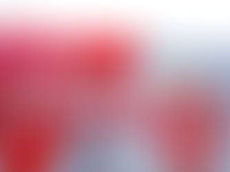 EDGAR MÉNDEZ REGRESA A MÉXICO CON LOS RAYOS DE NECAXA.