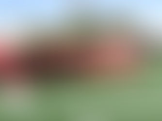 CENTELLAS VISITAN LA PLANTA A1 DE NISSAN.