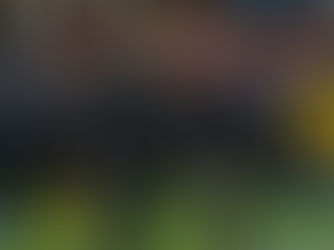 "DETALLES DEFENSIVOS HACEN QUE DEJEMOS DOS PUNTOS EN EL CAMINO": MEMO VÁZQUEZ