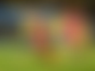 LAS FUERZAS BÁSICAS DE NECAXA Y AMERICA DIVIDEN VICTORIAS.