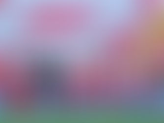 TIGRES CAMINANDO EN EL VICTORIA DERROTO 3-0 A UN INOPERANTE NECAXA.