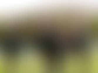 BUENA INCURSIÓN EN TIERRAS POTOSINAS DE LAS FUERZAS BÁSICAS DEL NECAXA.