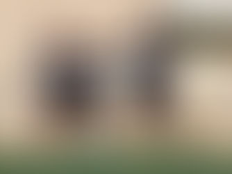 LAS FUERZAS BÁSICAS DEL NECAXA GANARON ENLA SUB18 Y PERDIERON EN LA SUB23.