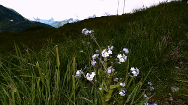P1200095.jpg