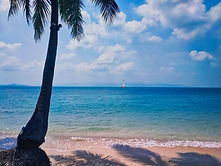 koh pangan