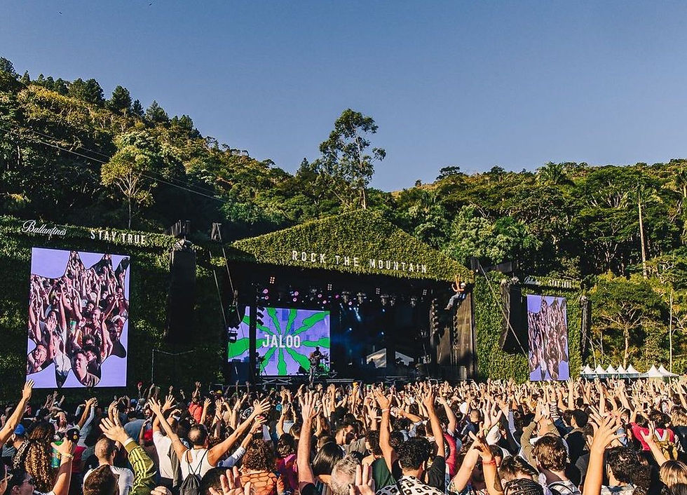 Pessoas curtindo um show em um festival de música