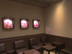 15053205_999004926894191_1122813972_o