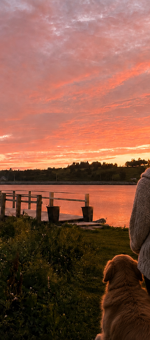 A woman and her dog stroll the oceanfront at the Marmalade Motel during sunset. 