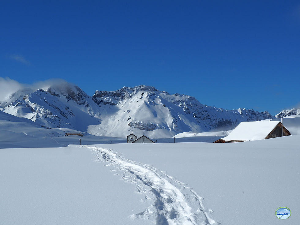 Coeur de Suisse 06-07 mars 2027