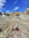 IMG_20200826_092031 copie.jpg