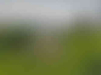 Randonnée- Bivouac -Vosges - Suisse