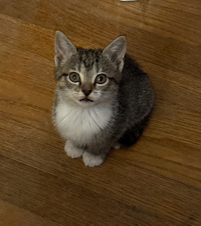 77216104515__7A6146AF-BFEF-4D4C-9E91-3D2C95473F0C.jpg