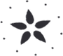 motif-gray.png