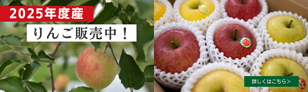 PCwixバナー (9).png