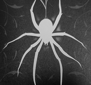 Spider_edited.jpg