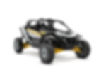 CAN AM MAVERICK R 2 SEAT MODELS