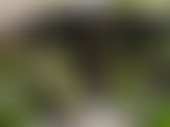 Restaurant de Watermolle