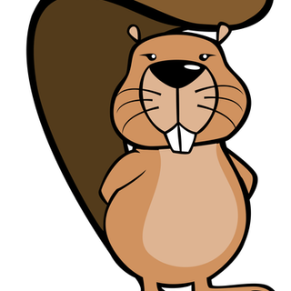 IKG überdurchschnittlich gut beim Informatik-Biber-Wettbewerb